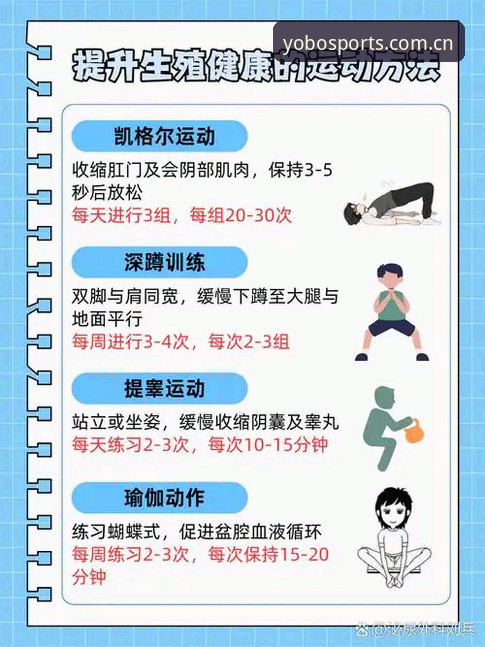 yobo体育官方版 yobo体育官方版功能解析与高效使用指南